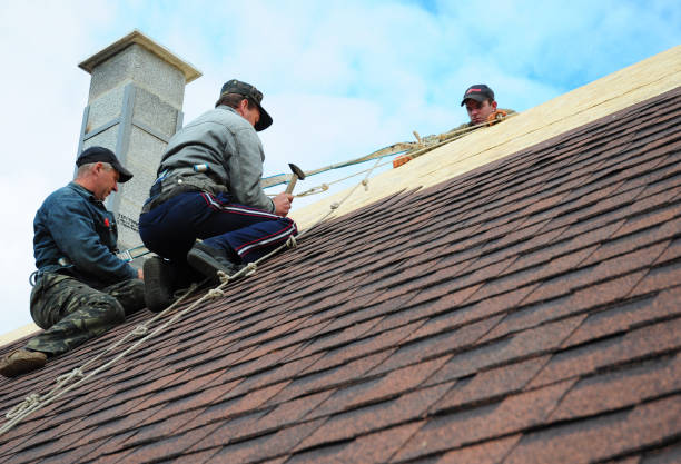 Quick and Trustworthy Emergency Roof Repair Services in Taylor, PA