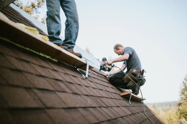 Roof Gutter Cleaning in Taylor, PA